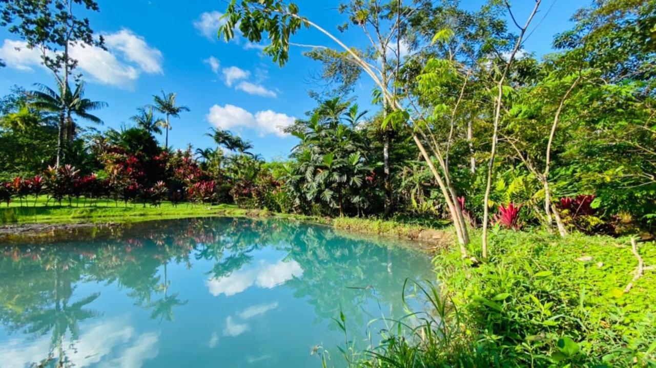 Blue River Resort&Hot Springs Liberia Exterior foto