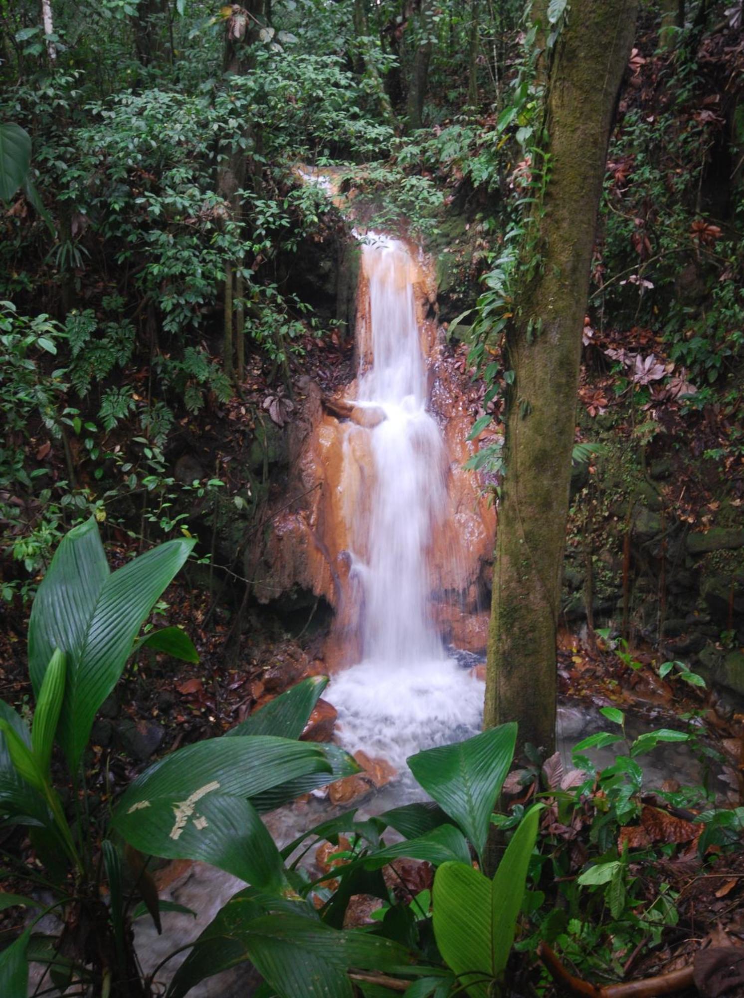 Blue River Resort&Hot Springs Liberia Exterior foto