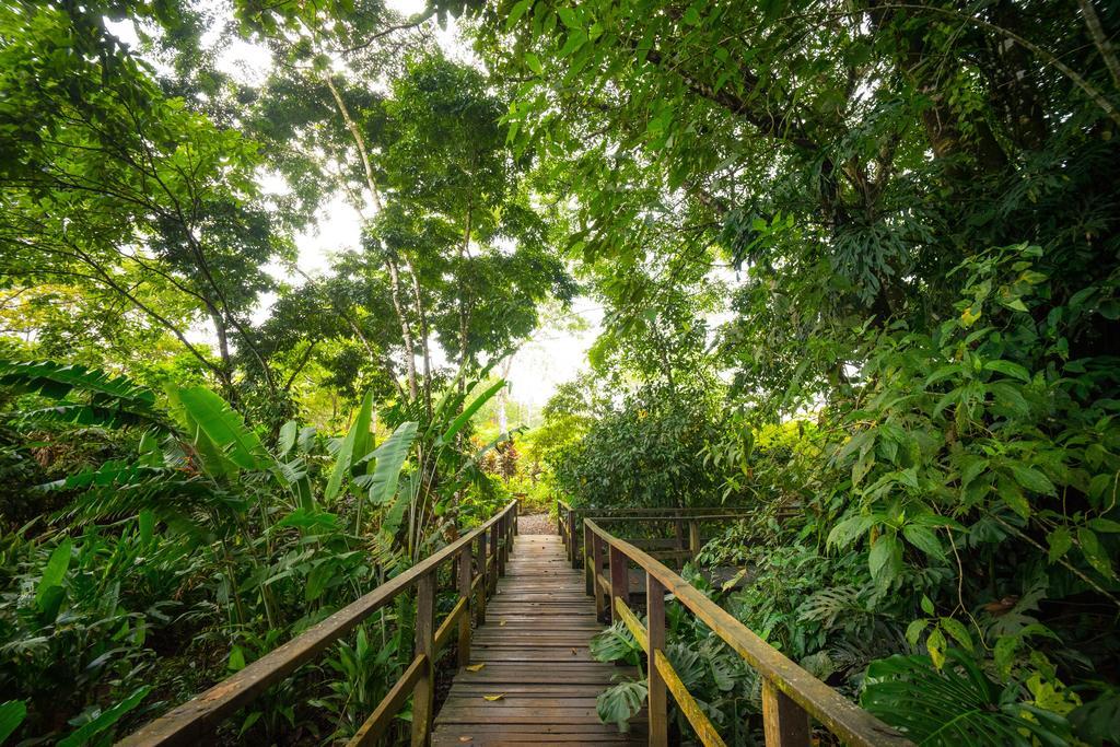 Blue River Resort&Hot Springs Liberia Exterior foto