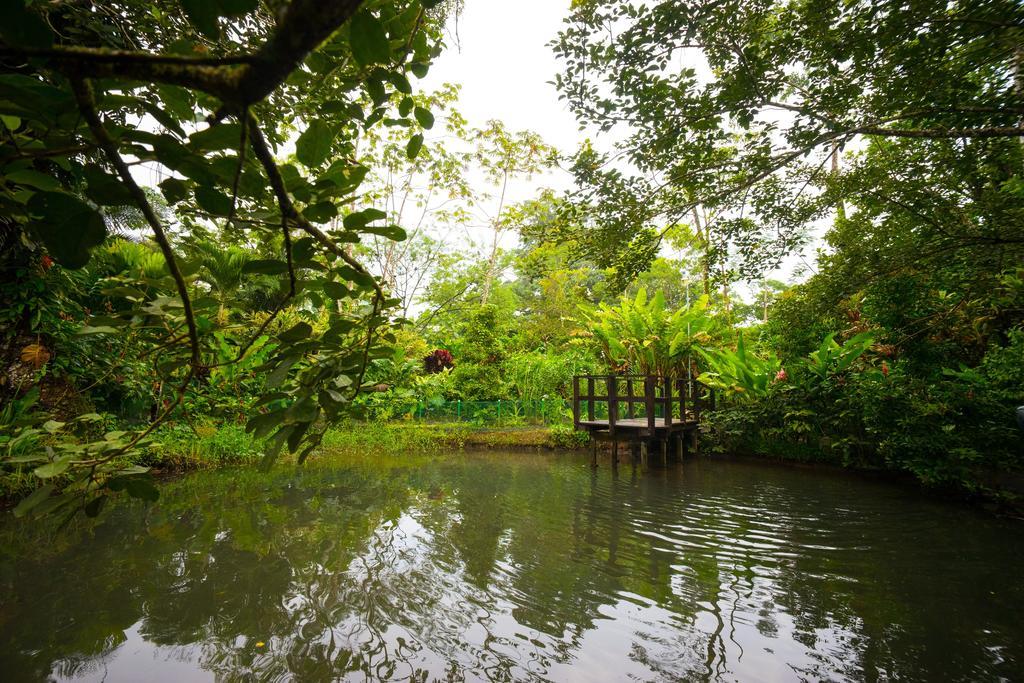 Blue River Resort&Hot Springs Liberia Exterior foto