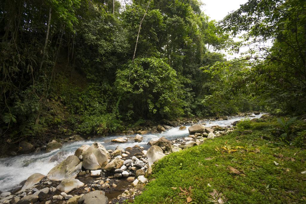 Blue River Resort&Hot Springs Liberia Exterior foto