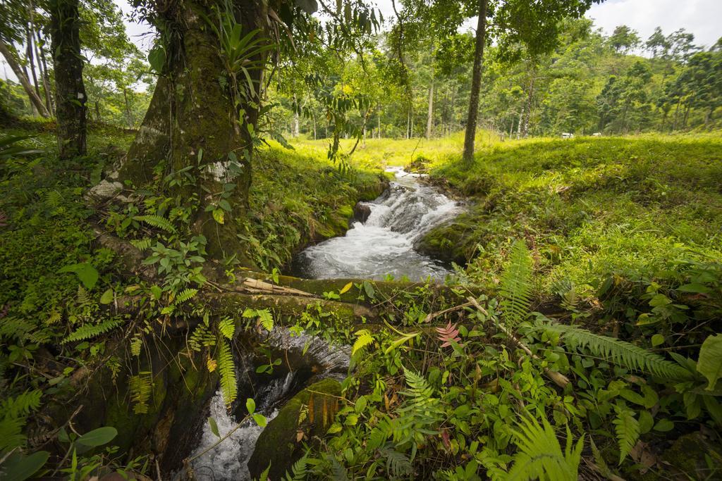 Blue River Resort&Hot Springs Liberia Exterior foto