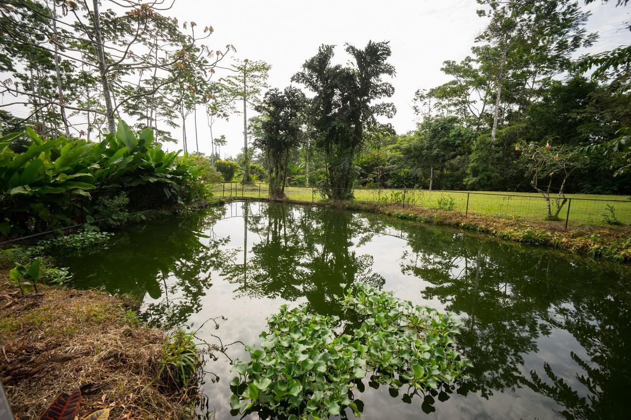 Blue River Resort&Hot Springs Liberia Exterior foto
